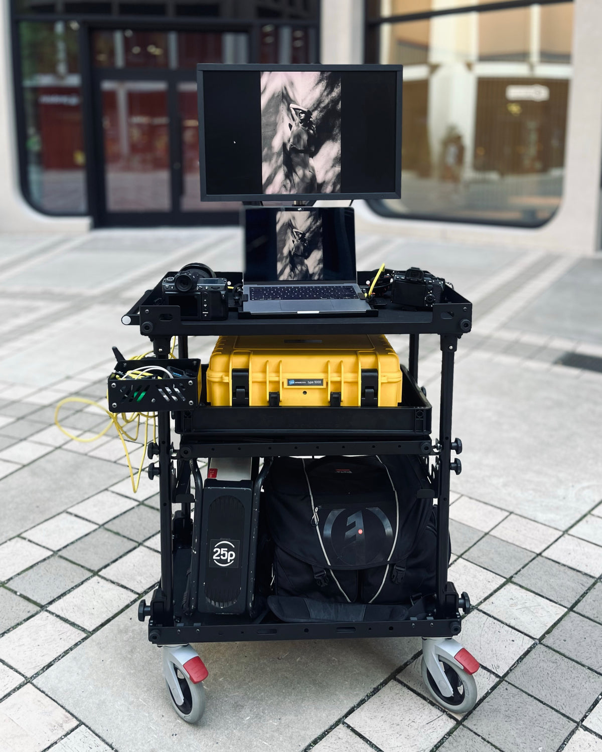 SCHLEPP ADVANCE Camera Cart